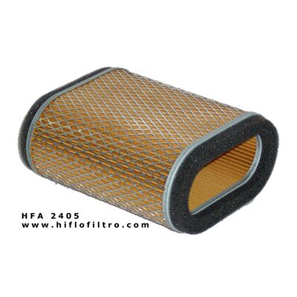 Hilfo Hiflo HFA2405 Air Filter-SPECIAL ORDER